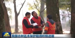 我国古树名木取得积极进展