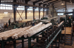 非洲木材行业承压：产量受限中国进口量骤降单